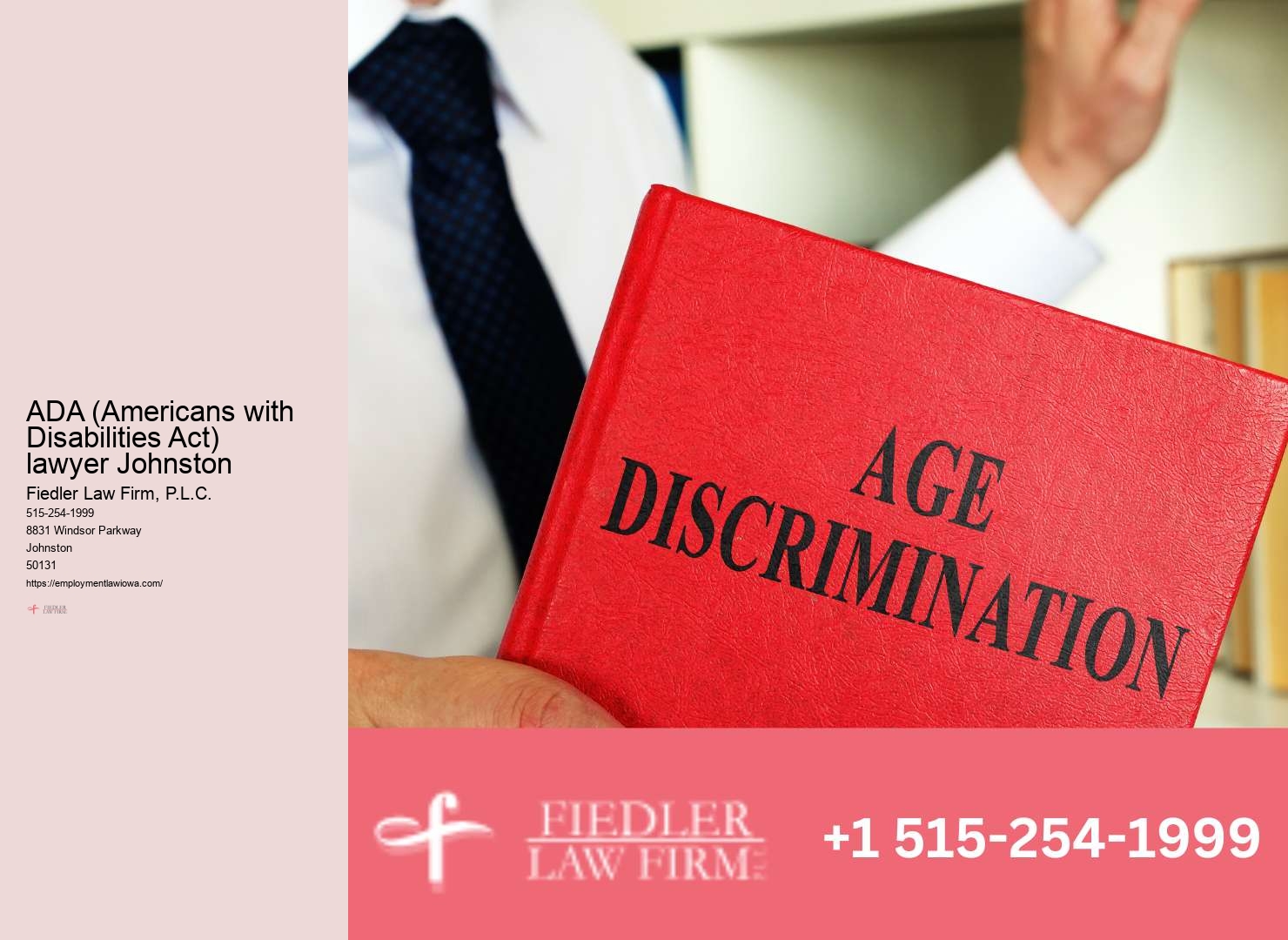 Expert Government Employment Lawyer in Johnston