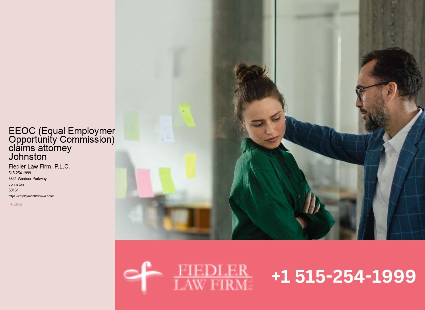 Expert Employment Law Consultation Johnston