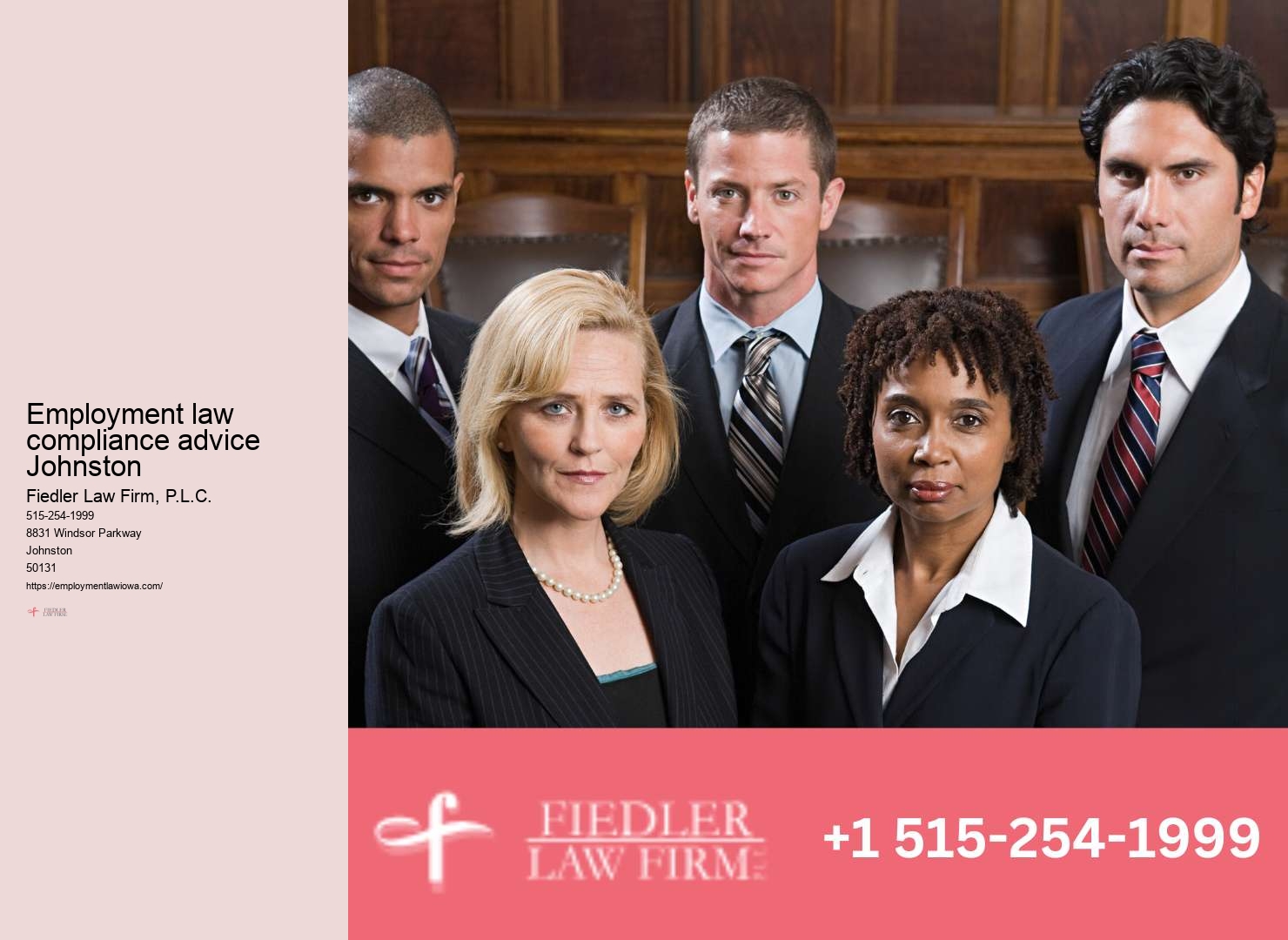 Johnston Employment Law Consultation Firm Specialist Legal Advisory
