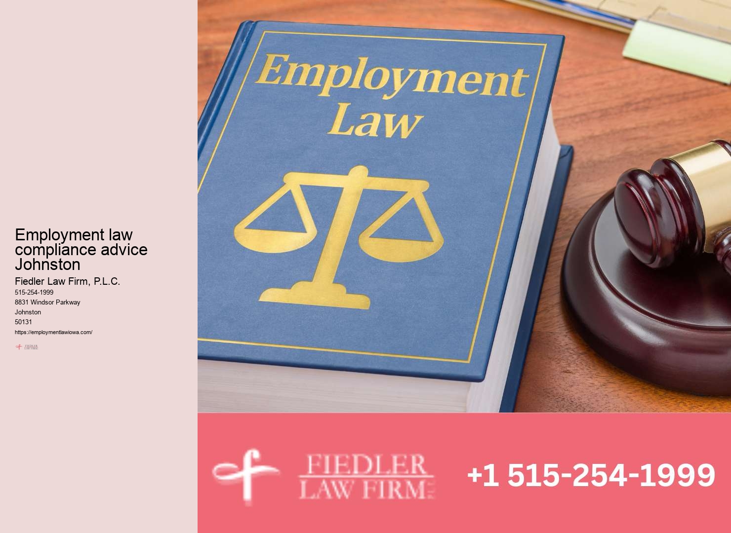 Employment Lawyer Johnston advocacy