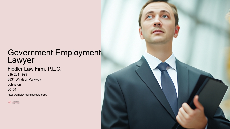 Government Employment Lawyer