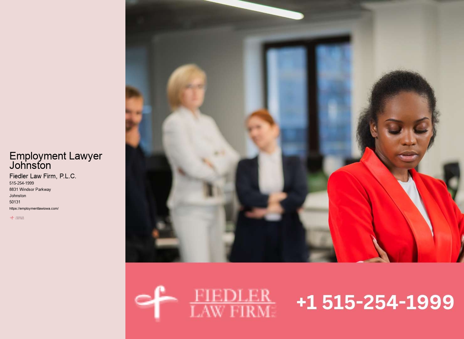 Employment Lawyer Johnston expertise