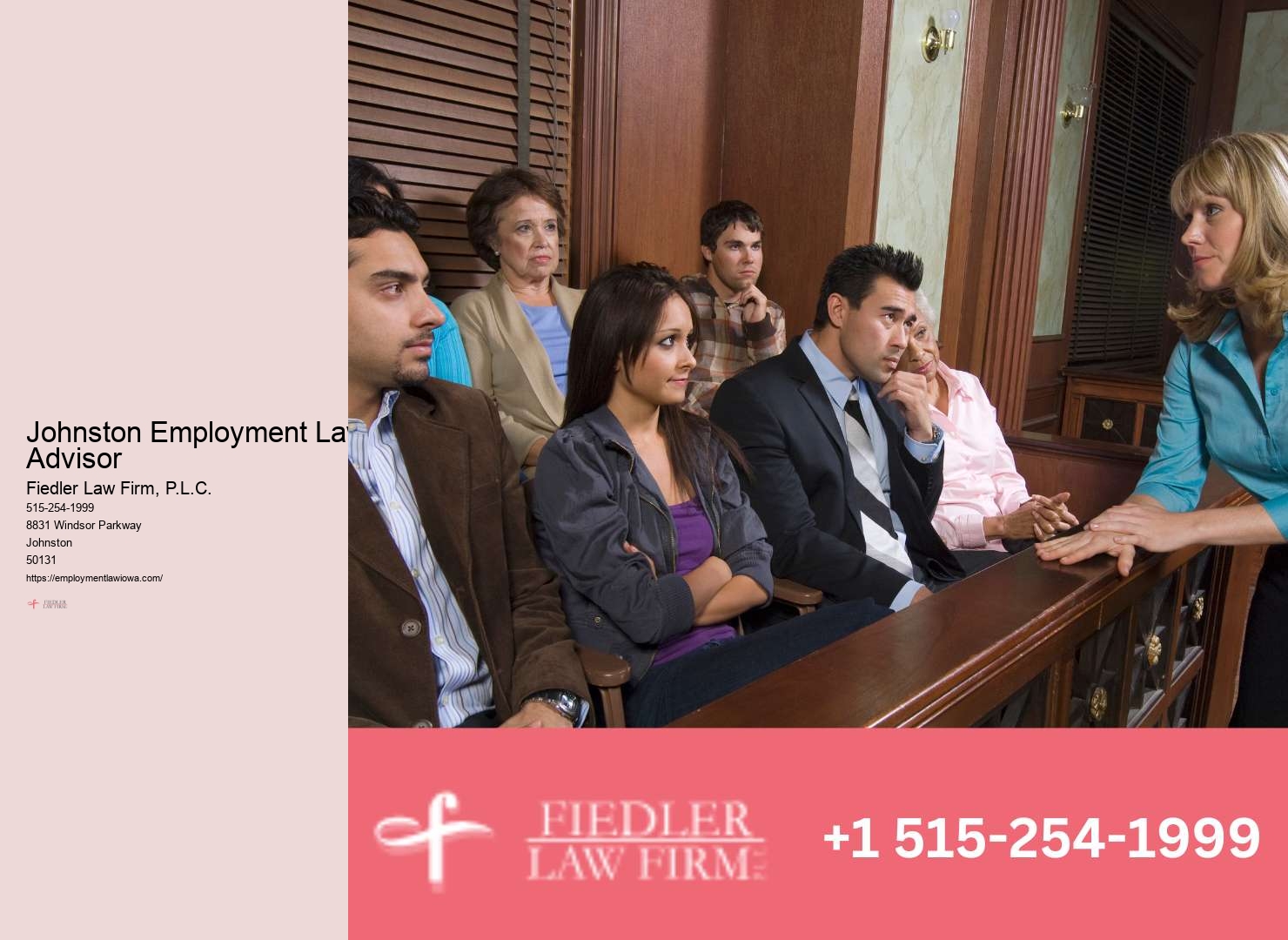 Trusted Government Employment Lawyer Johnston