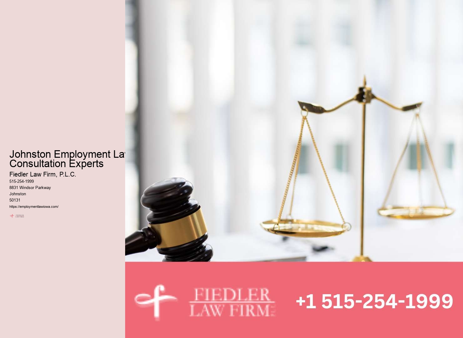 Johnston Employment Law Consultation Firm Legal Guidance Services