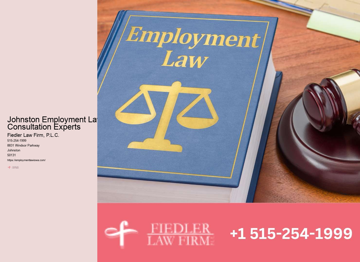 Government Employment Lawyer