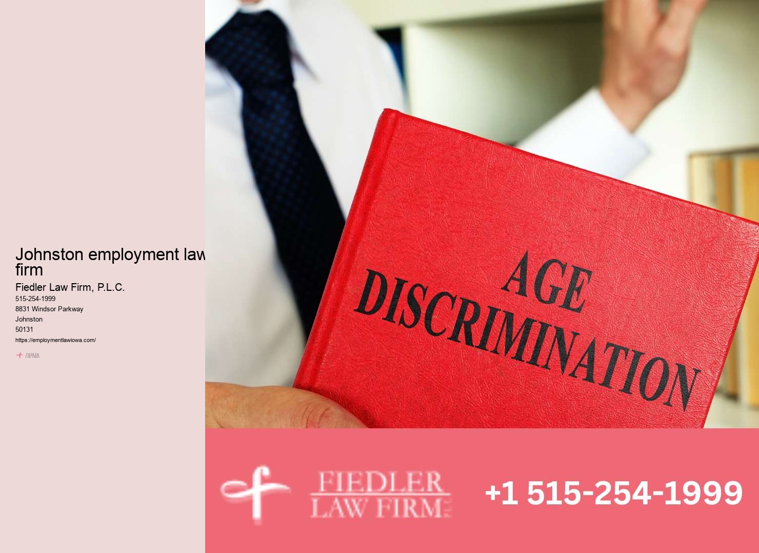 Experienced Government Employment Lawyer Johnston
