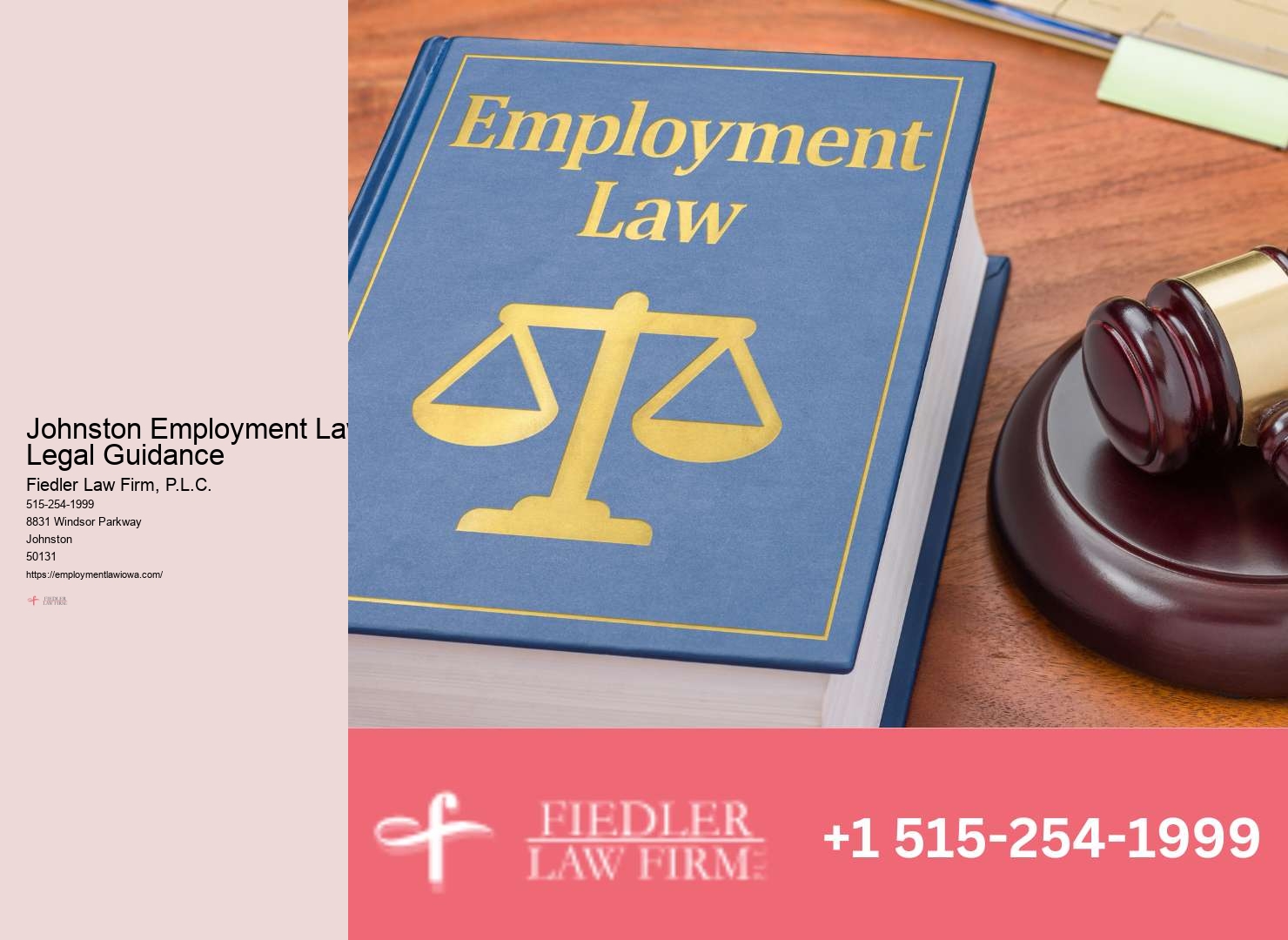 Johnston Employment Law Experts