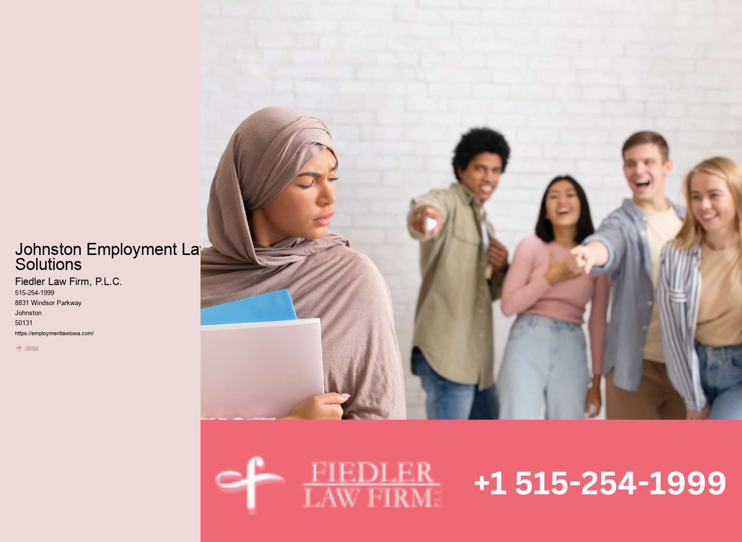 Established Government Employment Lawyer Johnston