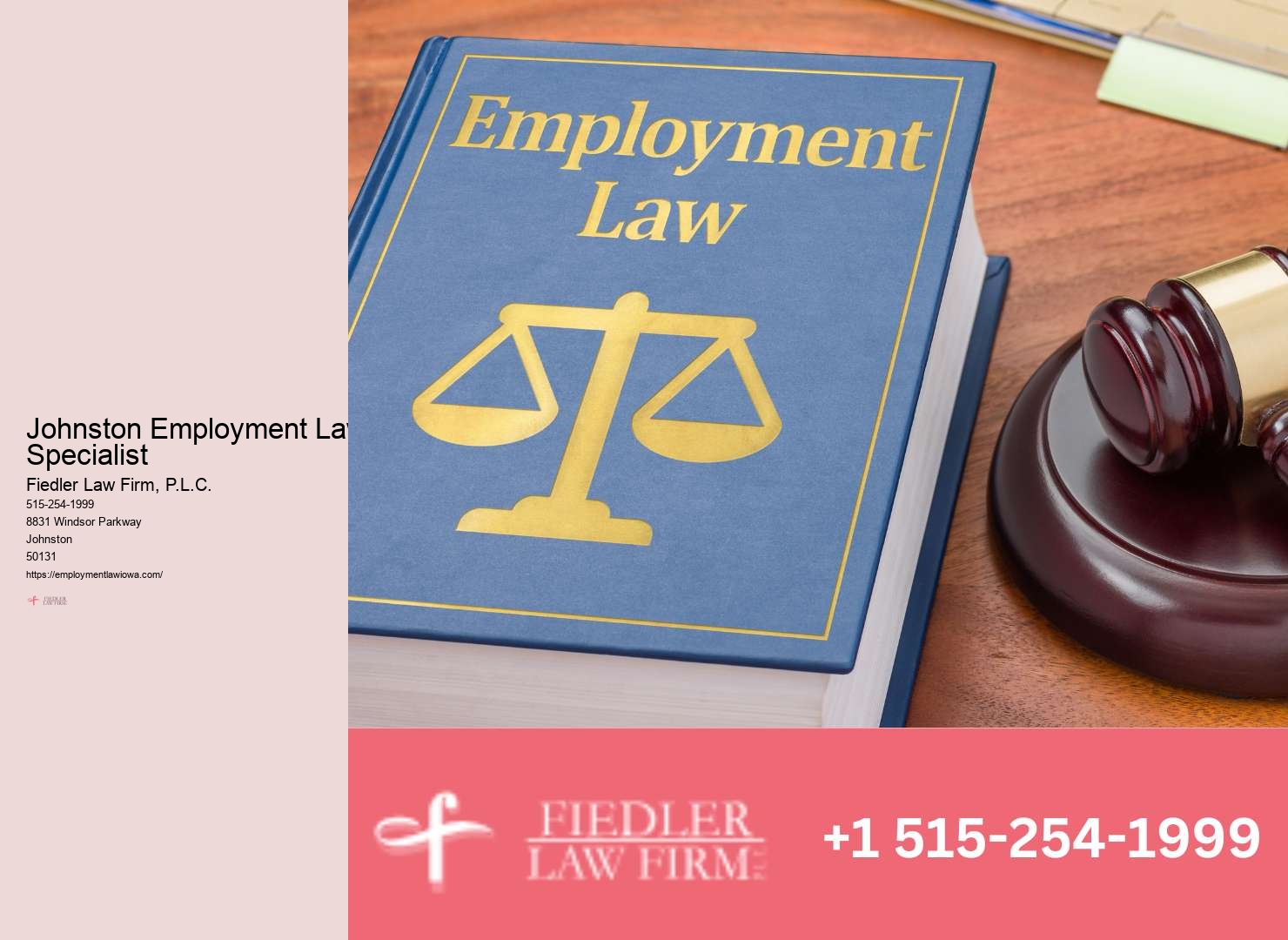 Employment Lawyer Johnston disputes