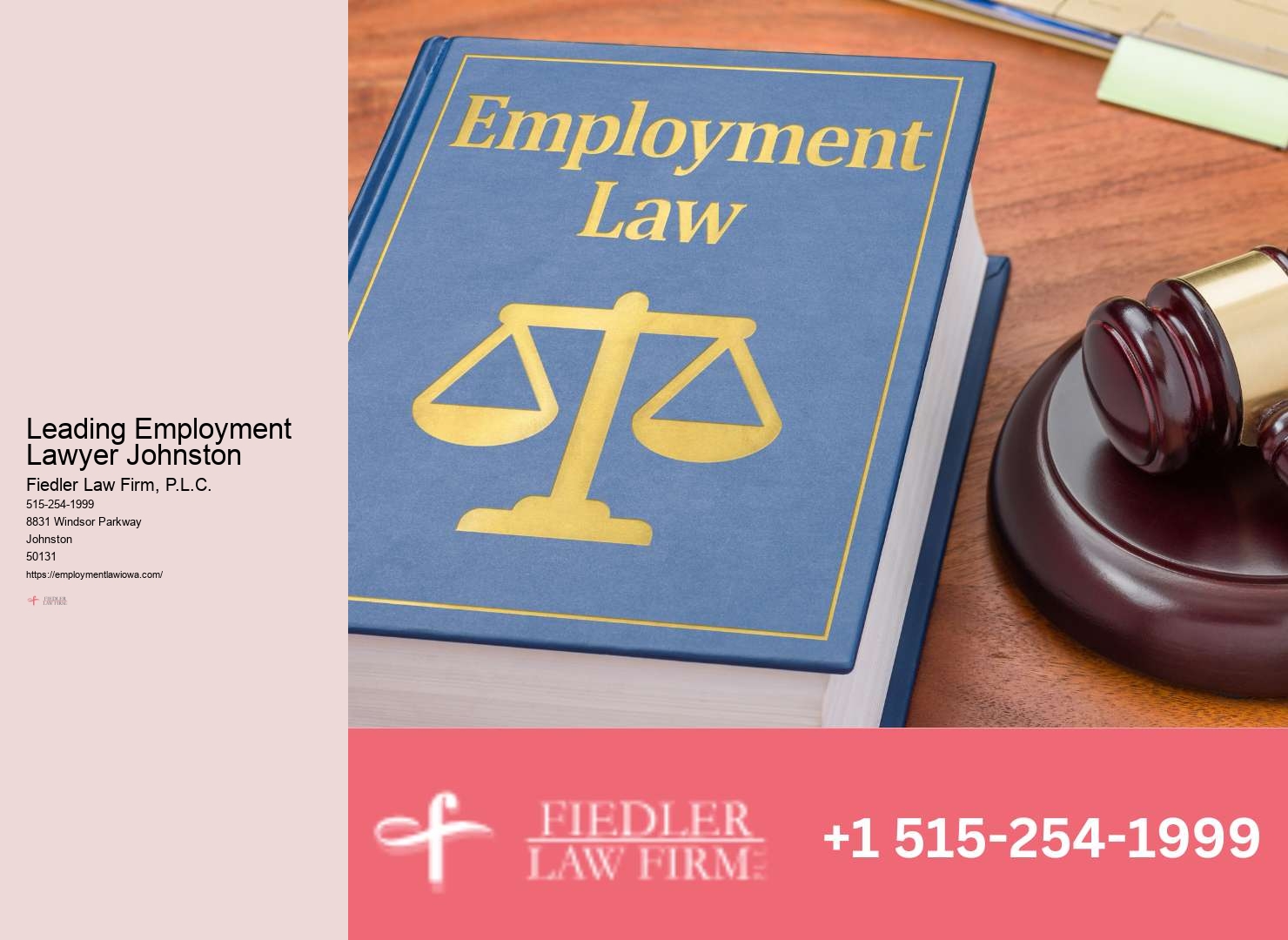 Top Employment Lawyer in Johnston