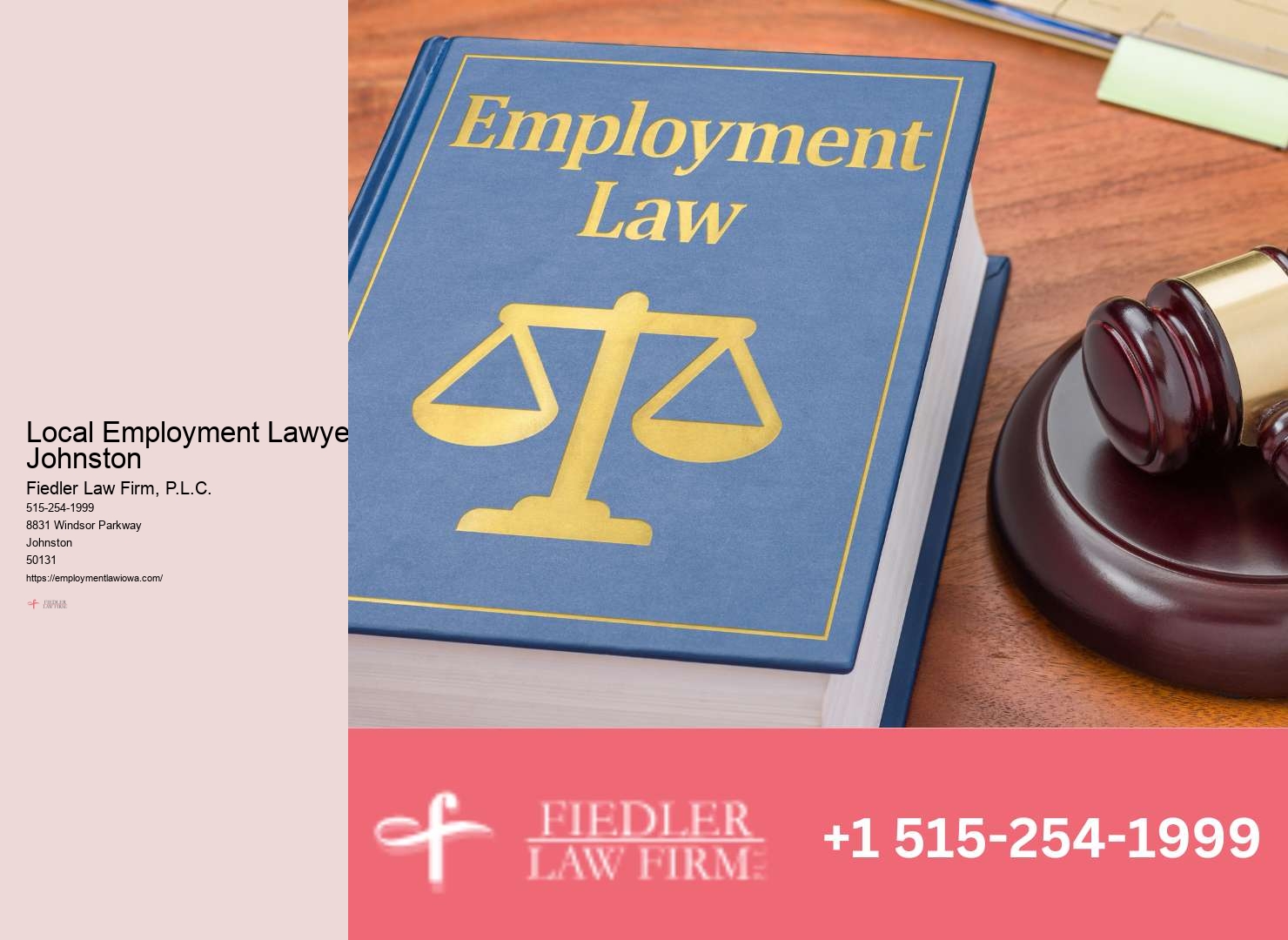 Expert Government Employment Lawyer Johnston