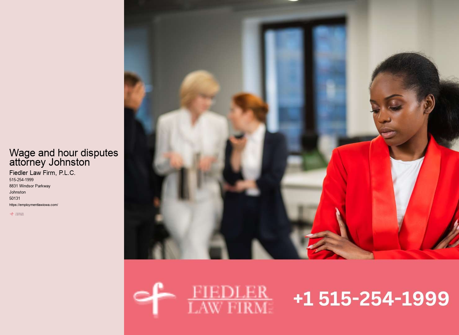 Johnston Employment Law Consultation Firm Legal Guidance Expertise